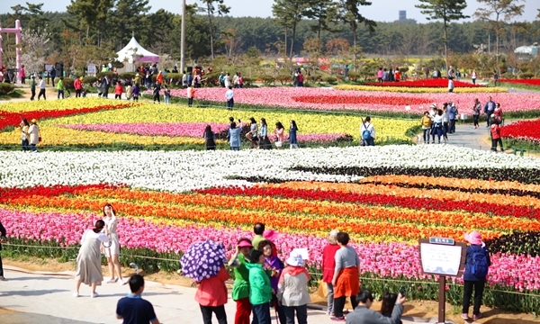 전년도 축제사진