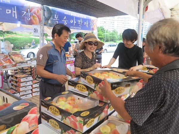 전년도 축제모습