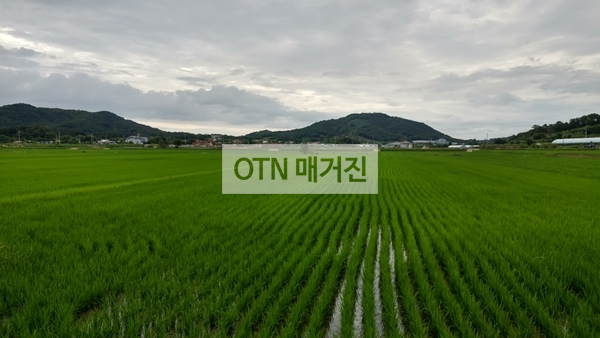 축산지구 예정지 전경