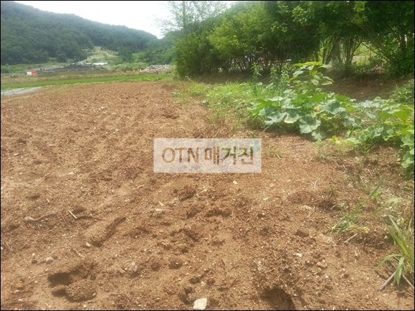 훼손된 모습