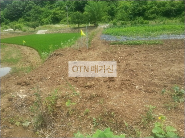 훼손된 밭둑 주변