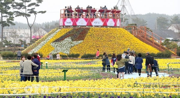 전년도 수선화축제