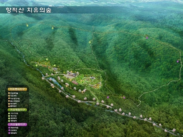 조감도