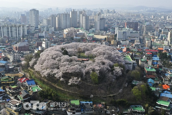 테미공원